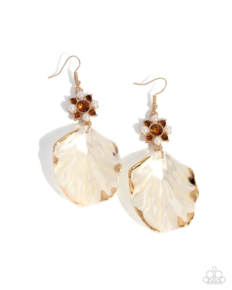 Coastal Candidate - Brown