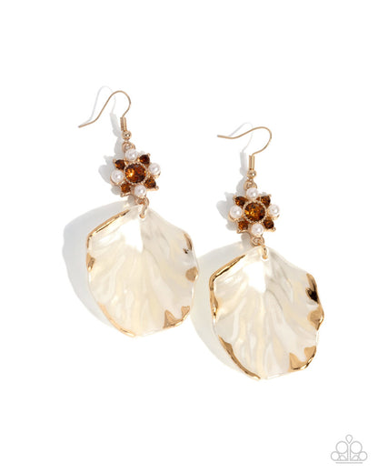 Coastal Candidate - Brown