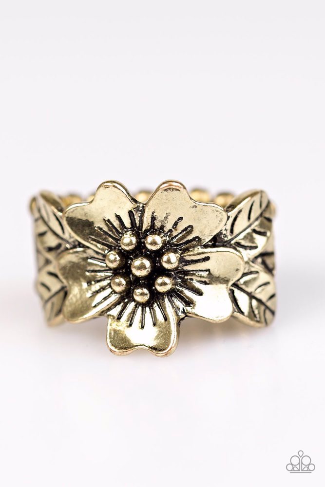 Rio Retreat - Brass