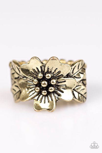 Rio Retreat - Brass